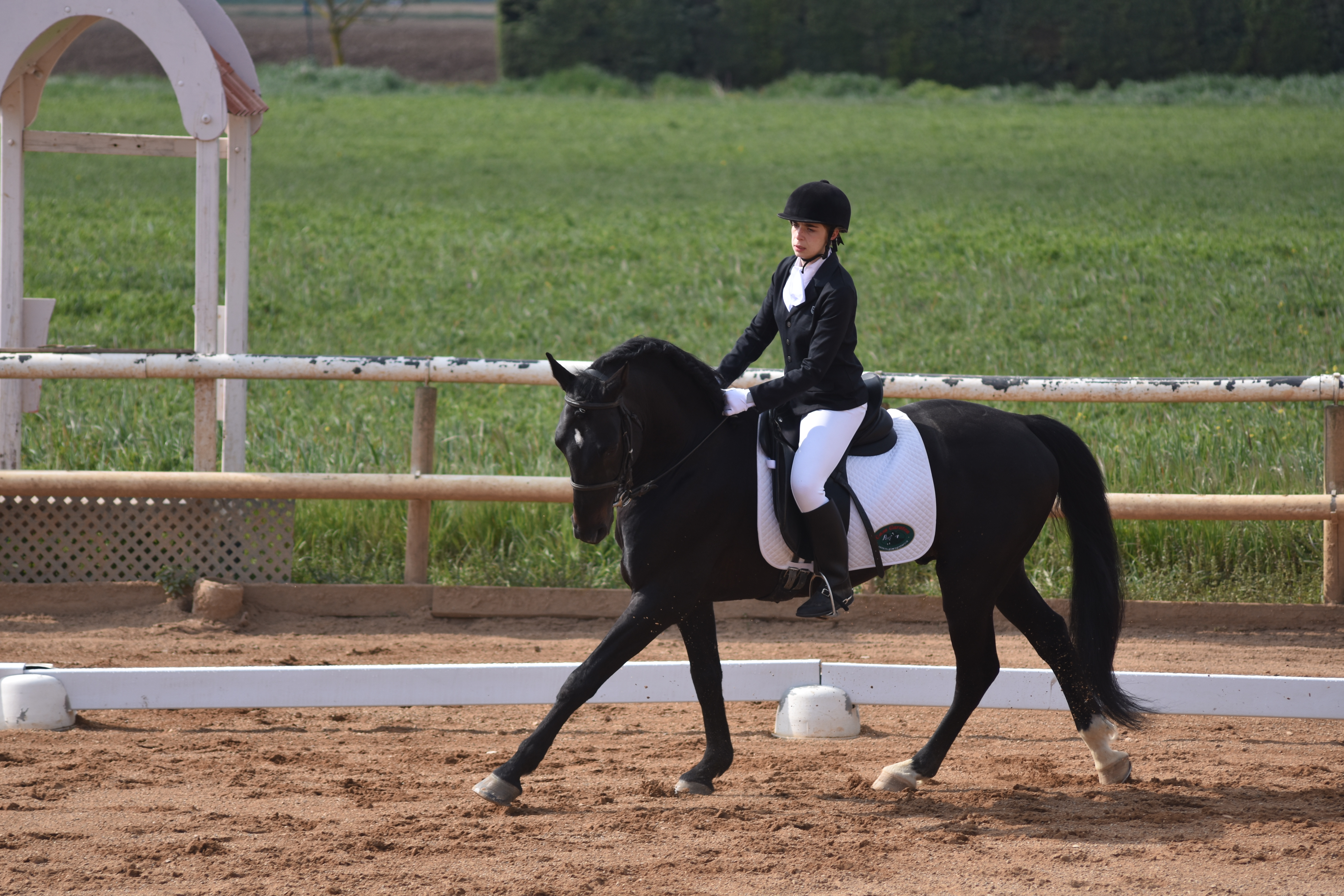 M&aacute;s fotos de la Primera Fase de Doma Cl&aacute;sica en Acedo